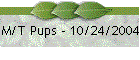 M/T Pups - 10/24/2004