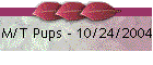 M/T Pups - 10/24/2004