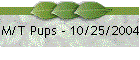 M/T Pups - 10/25/2004