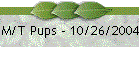 M/T Pups - 10/26/2004