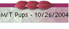 M/T Pups - 10/26/2004