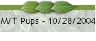 M/T Pups - 10/28/2004