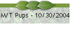 M/T Pups - 10/30/2004