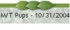 M/T Pups - 10/31/2004