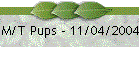 M/T Pups - 11/04/2004
