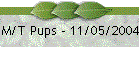 M/T Pups - 11/05/2004