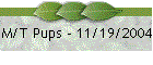 M/T Pups - 11/19/2004