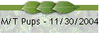 M/T Pups - 11/30/2004