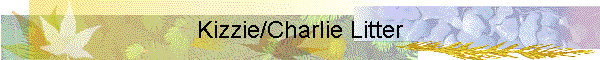 Kizzie/Charlie Litter