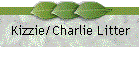 Kizzie/Charlie Litter